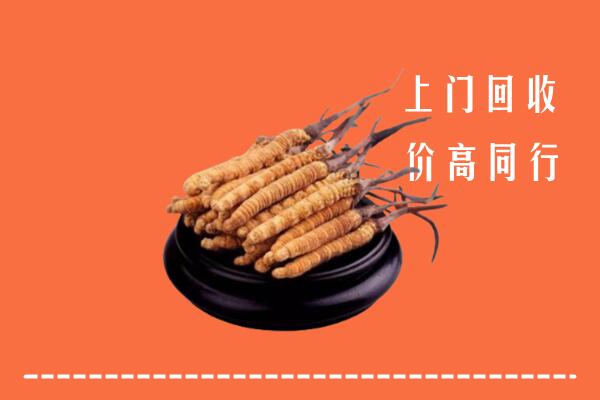 高价求购：昌图县回收散虫草