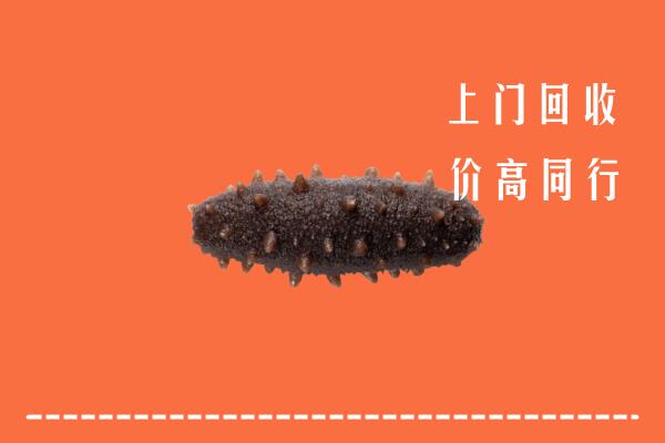 高价求购：昌图县回收海参