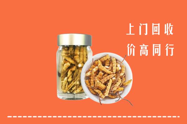昌图县回收冬虫夏草