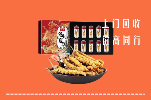 昌图县回收虫草